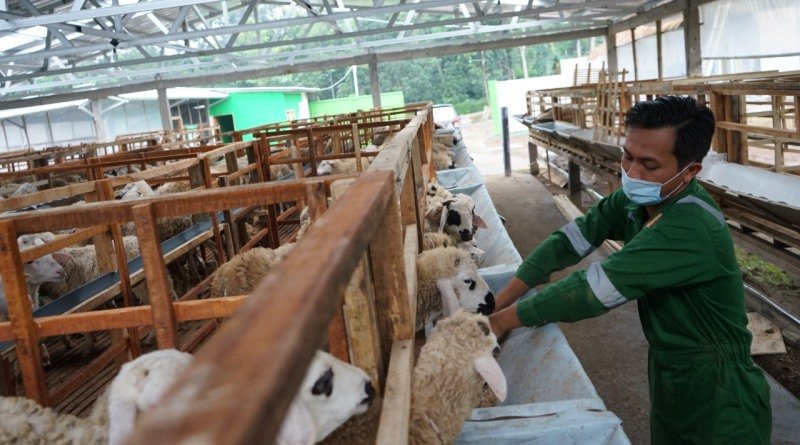 Memenangkan Persaingan tanpa Menjelekkan Lawan Bisnis
