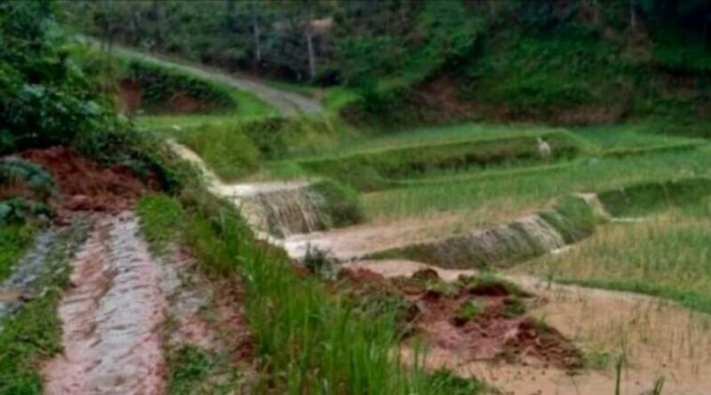 Tanggul Irigasi Jebol, Puluhan Hektare Sawah di Cianjur Terendam Banjir