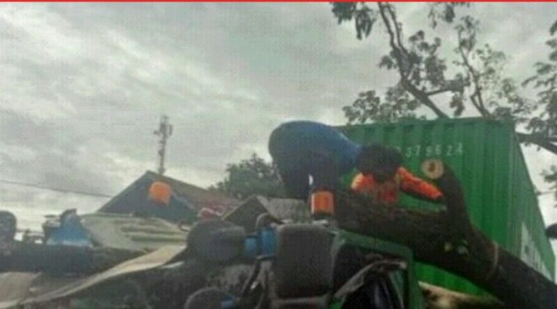 Pejalan Kaki dan Truk Tertimpa Pohon Tumbang di Jalan Raya Sukabumi