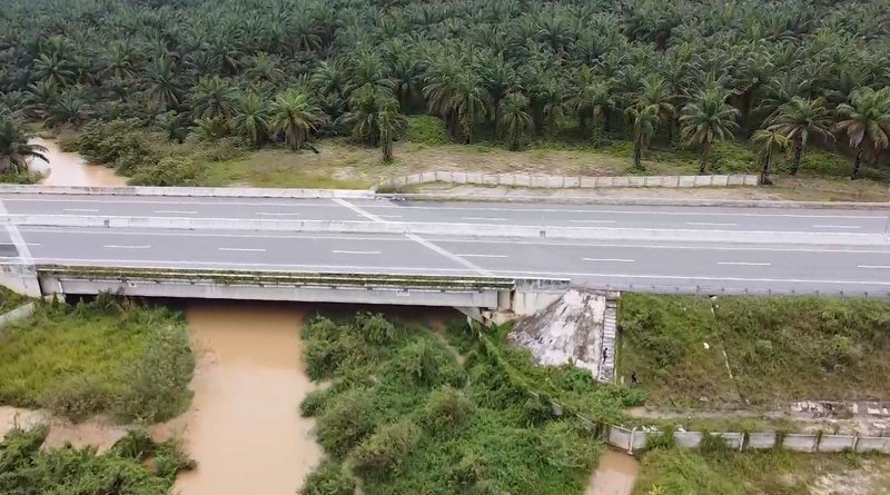 Cegah Kejadian Berulang, KLHK Siapkan Langkah Pengamanan Jalur Lintas Gajah Di Tol Pekanbaru-Dumai