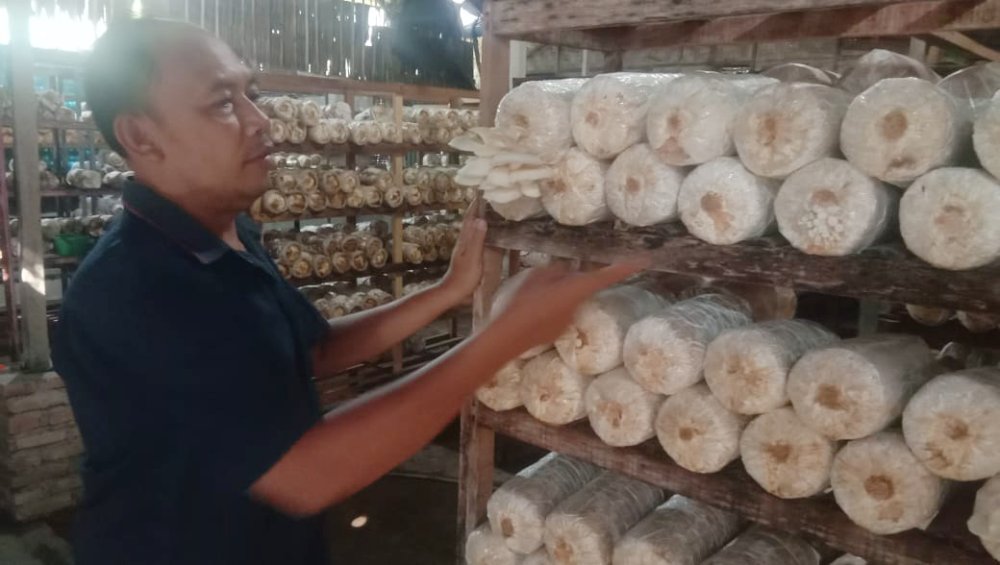 Rofi'i, Mantan Pekerja Migran Sukses Budidaya Jamur dan Pengolahan Makanan Beromset 100 Juta