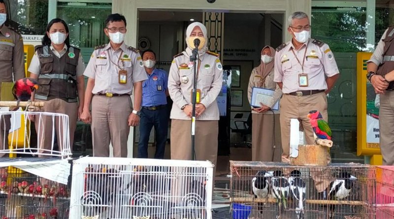 Ratusan Ekor Burung Gagal Diselundupkan dari Timika ke Surabaya