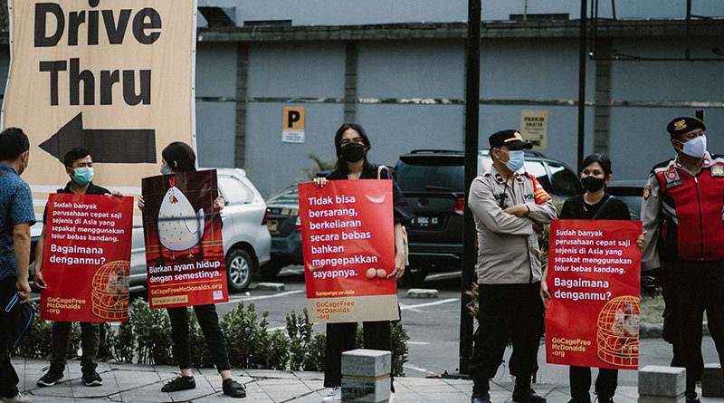 Aktivis se-Asia Menentang Kebijakan McDonald’s atas Penggunaan Telur dari Kandang Baterai yang Kejam