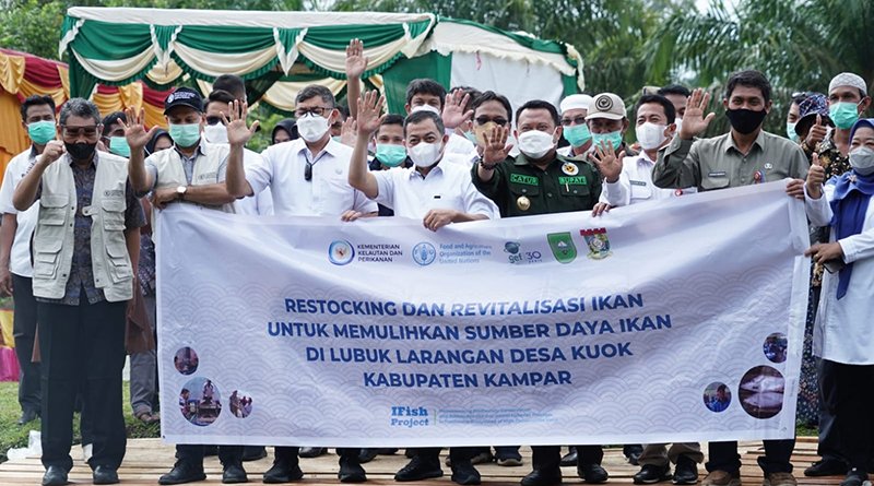Cegah Kepunahan, KKP-FAO Restocking Puluhan Ribu Ikan Endemik di Kampar