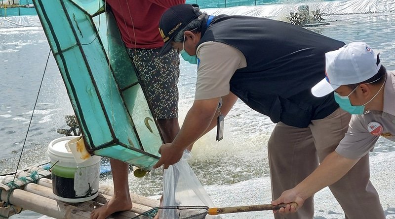 Pastikan Keamanan Produk, KKP Monitoring Kegiatan Budidaya Ikan di Cilacap