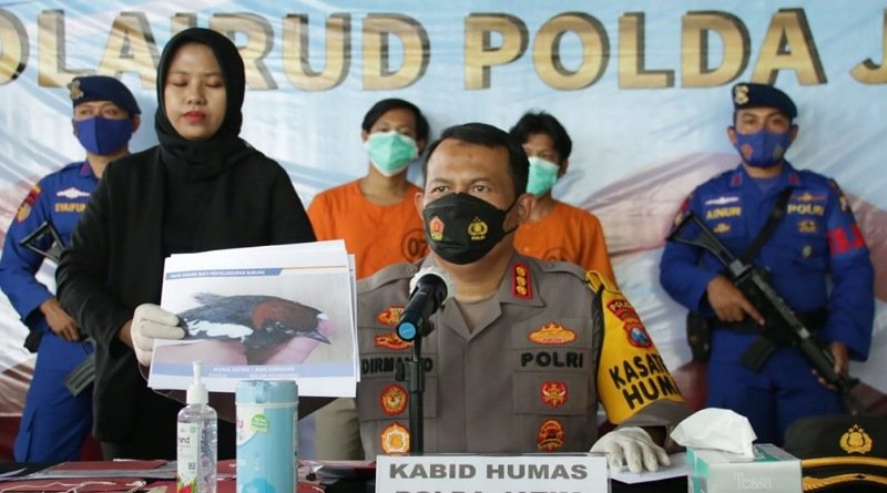 Polairud Polda Jatim Gagalkan Penyelundupan dan Perdagangan Burung Dilindungi
