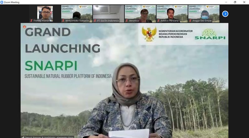 Optimalisasi Karet Alam Nasional dalam Pengembangan Karet Alam Keberlanjutan di Tingkat Global