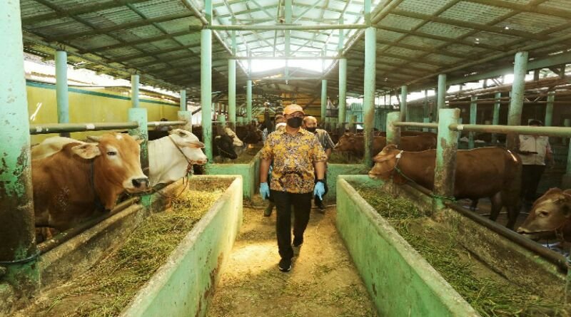 Hewan Kurban di Kota Bandung bakal Divaksinasi dan Rapid Tes