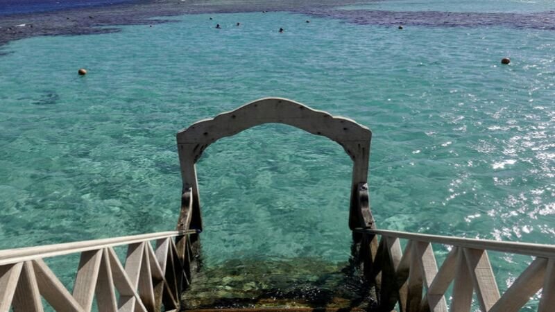 2 Wanita Tewas Diserang Ikan Hiu di Lepas Pantai Laut Merah Mesir