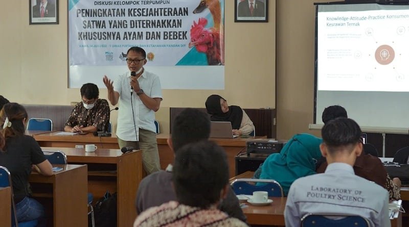 Dorong Indonesia Bebas Kandang Baterai 2030, AFJ Adakan Diskusi Kelompok Terpumpun