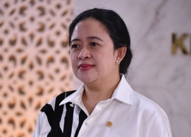 Puan Minta Pemerintah Gencarkan Edukasi Publik soal Kasus Gagal Ginjal Akut pada Anak