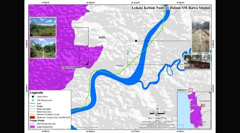 Perusakan Lahan Gambut di Suaka Margasatwa Rawa Singkil Terhubung dengan Perusahaan Raksasa Dunia