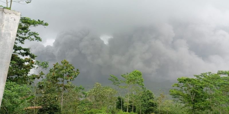 Dampak Amuk Semeru, Sebanyak 1.979 Jiwa Mengungsi