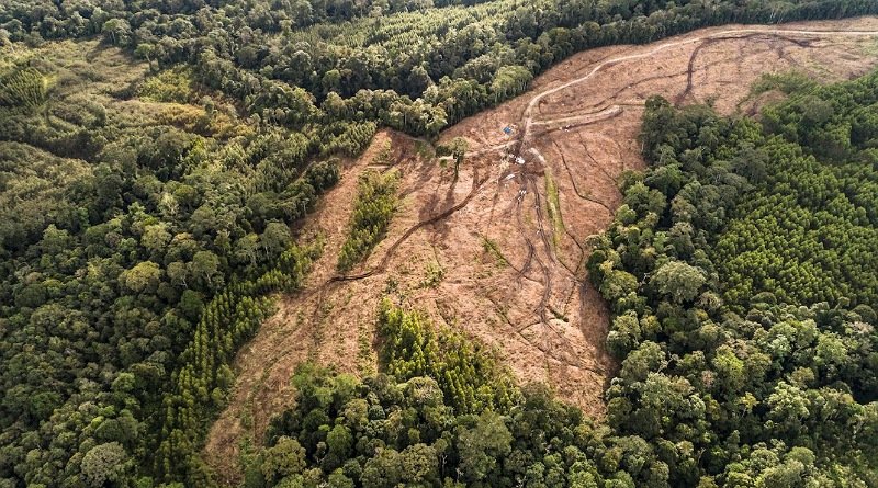 KSPPM dan AMAN Tano Batak Menolak Kehadiran Earthworm Foundation Konsultan PT. Toba Pulp Lestari
