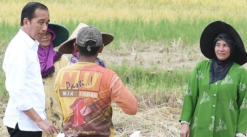 Cek Harga Gabah, Presiden Jokowi Mendadak Temui Petani di Jalan Lingkar Baru Soreang