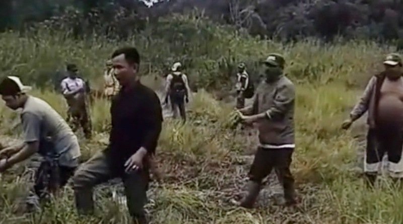 Bunga Edelweis di Rancaupas Ditanam Lagi, Tiga Pria Mengatasnamakan Panitia Minta Maaf