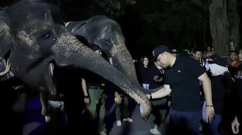 Surabaya Night Zoo Resmi Dibuka Warga Ber-KTP Surabaya Dapat Diskon 25 Persen