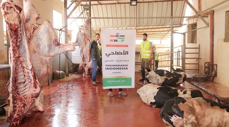 Jelang Idul Adha Ekonomi Memburuk Akibat Blokade Israel, KNRP Ajak Warga Indonesia Berqurban untuk Palestina