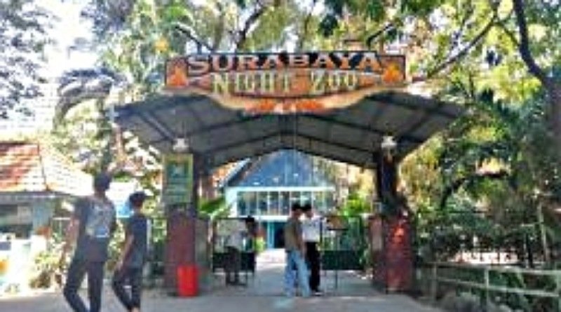 Surabaya Night Zoo Sempat Tak Buka Lantaran Sepi Pengunjung