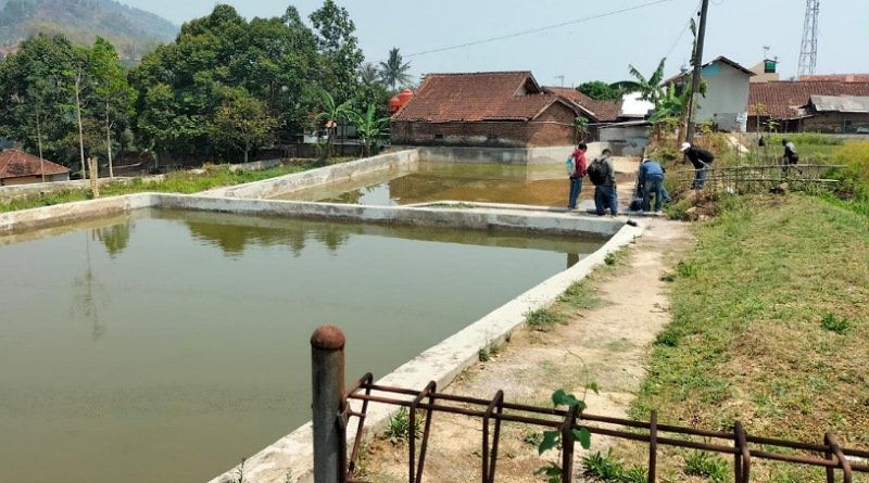 Soal Proyek Rehab Kolam Ikan BBI Ciparay, Ini Penjelasan Pelaksana CV CTG