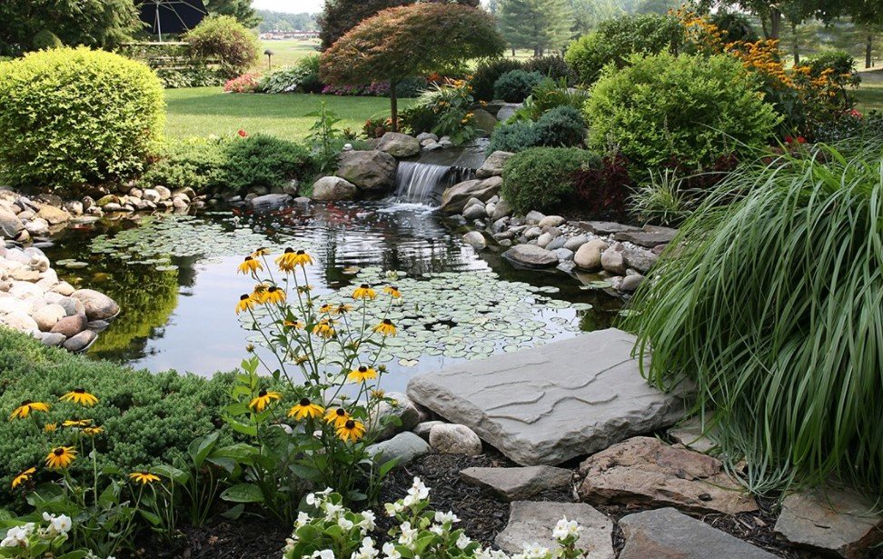 Buat Taman dan Kolam Minimalis di Rumah Segini Biayanya