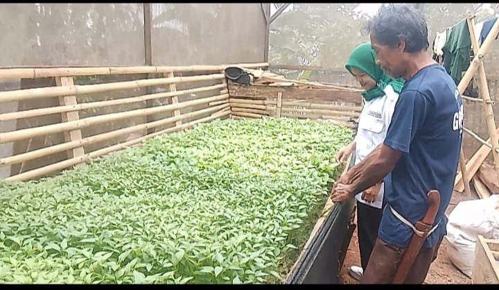 Memberikan Manfaat Bagi Petani, Bupati DS Sebut Kartu Tani Sibedas Terus Berkelanjutan