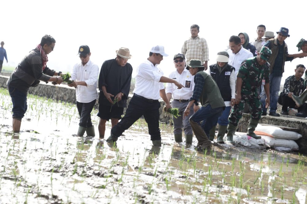 Mentan Sebut Musim El Nino Gorila Sangat Dahsyat : Tekan Impor Sekarang Juga !