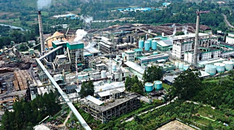 Verifikasi Data Perlu Dilakukan untuk Mengenali Penerima Manfaat Industri Pulp