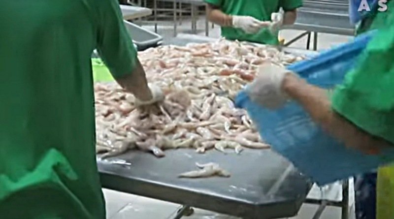 Kedubes Prancis di Jakarta akan Diserbu Aktivis PETA yang Mengenakan Topeng Kodok