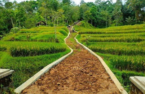 Pemkab Sumedang Siapkan Rp 10,8 Miliar untuk Bangun Jalan Usaha Tani