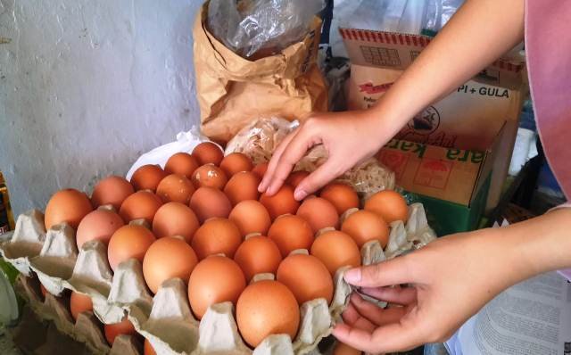 Harga Telur Ayam di Sumedang Sudah kembali Normal
