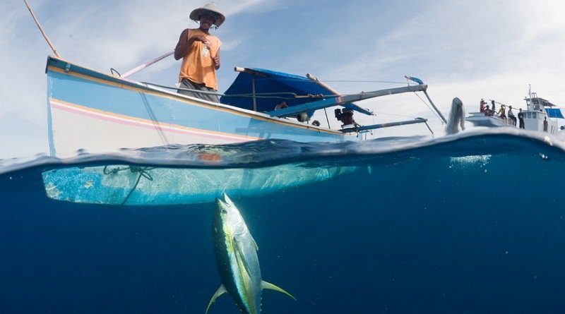 Koalisi Indonesia, Filipina, dan Vietnam Dorong Perlindungan Stok Tuna Madidihang di Wilayah Samudra Pasifik Barat