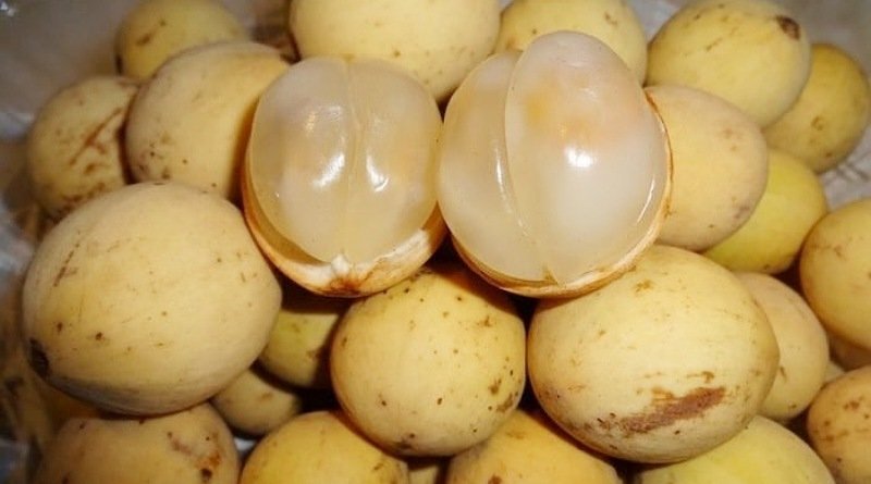 Banyak Dijual di Pasar, Khasiat Buah Duku untuk Tubuh