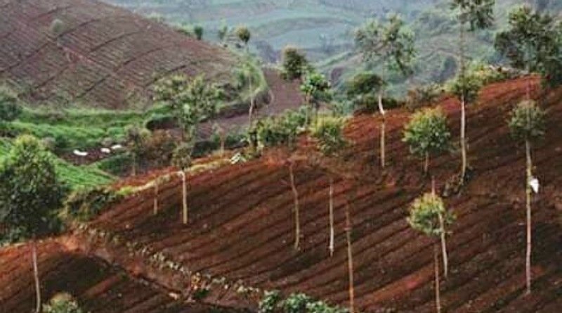 Pertarungan Manusia vs Alam: Alih Fungsi Lahan Sebagai Pemicu Bencana Alam