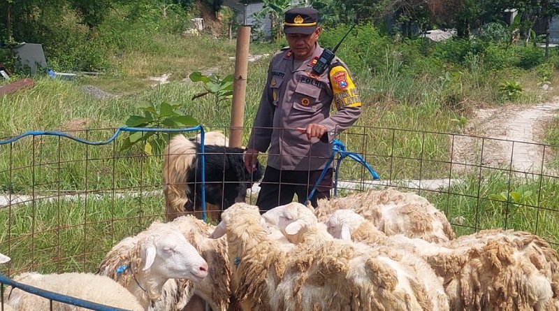 Sosok Kapolsek Gresik Kota Berdagang Hewan Kurban Sejak Tiga Tahun, Berdayakan Anak Muda Sekitar