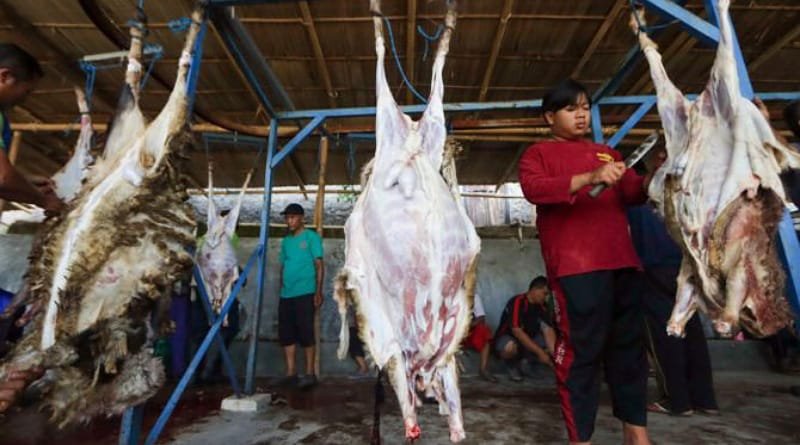 Tiga Larangan Bagi Orang yang Hendak Berkurban di Hari Raya Idul Adha 2024