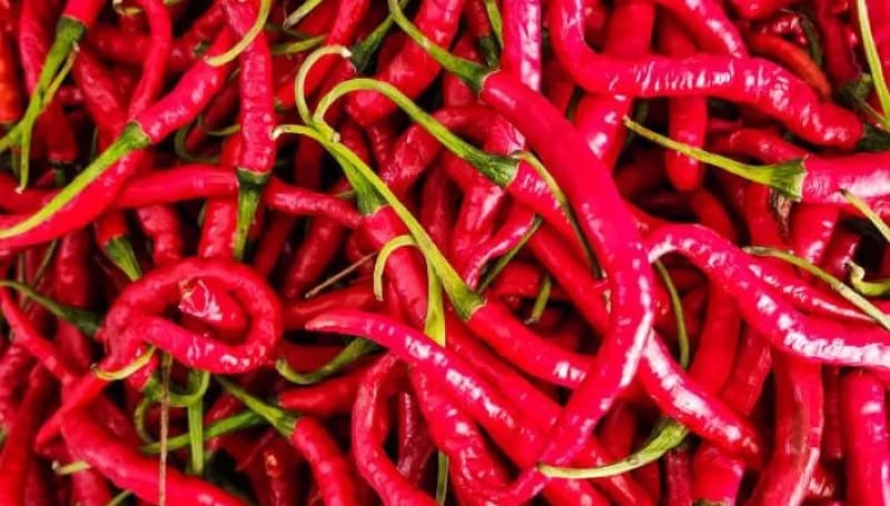 Kenaikan Harga Cabai Rawit Merah dan Cabai Merah Keriting di DI Yogyakarta: Naik 6,21 Persen per Senin, 10 Juni 2024