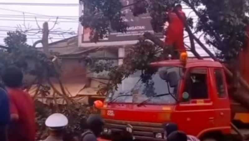 Kecelakaan di Jl Citaliktik, Pohon Besar Tumbang Timpa Mobil Bermuatan