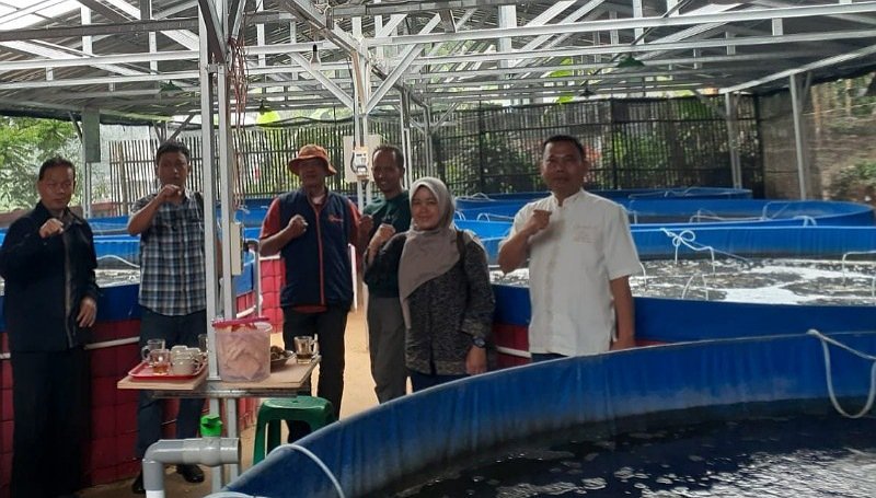 Budidaya Ikan dengan Teknik Bioflok Diminati di Sumedang