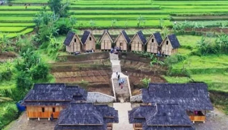 Warungkondang: Jantung Pelestarian Padi Pandanwangi, Simbol Kejayaan Cianjur