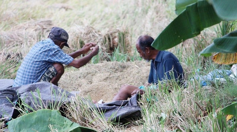 Orang Lanjut Usia, Korban Tersembunyi dari Perubahan Iklim