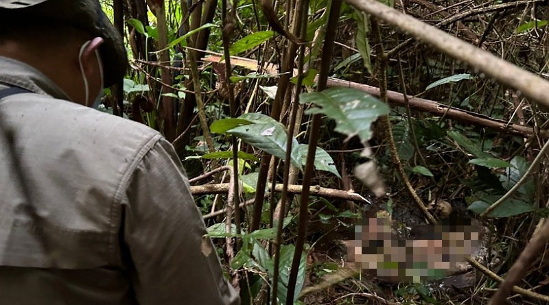 Melihat TKP Mayat dengan Kondisi Kepala Terpisah di Hutan Situ Gunung Sukabumi