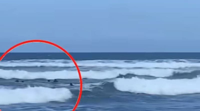 Dukacita Mendalam untuk Korban Laka Laut di Pantai Parangtritis