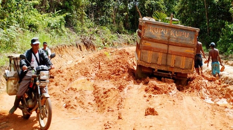 Petani Kelapa Sawit Kecil Butuh Dukungan, Bukan Hambatan