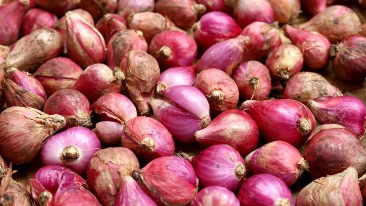 Harga Bawang Merah Terjun Bebas, Bapanas Ungkap Penyebabnya