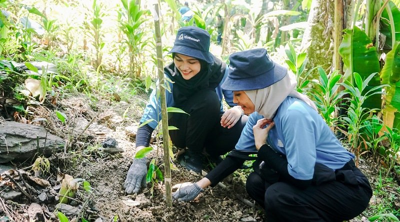Inisiatif Hijau TÜV Rheinland Indonesia Bersama Perhutani: Penanaman 200 Pohon untuk Masa Depan Berkelanjutan