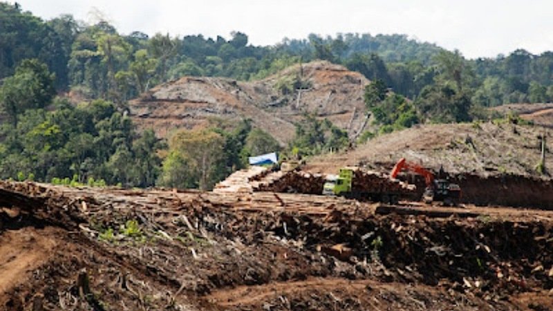 Ekspor Wood Pellet dari Indonesia Diduga Melanggar Hukum