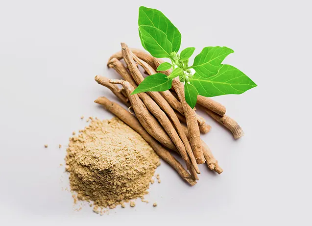 Peneliti Ungkap, 7 Tanaman Herbal Ampuh Tingkatkan Kecerdasan Otak