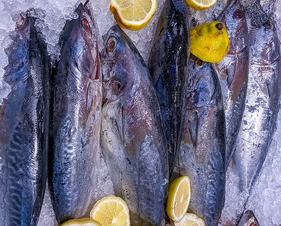 Tips Sehat Memasak Ikan yang Lezat
