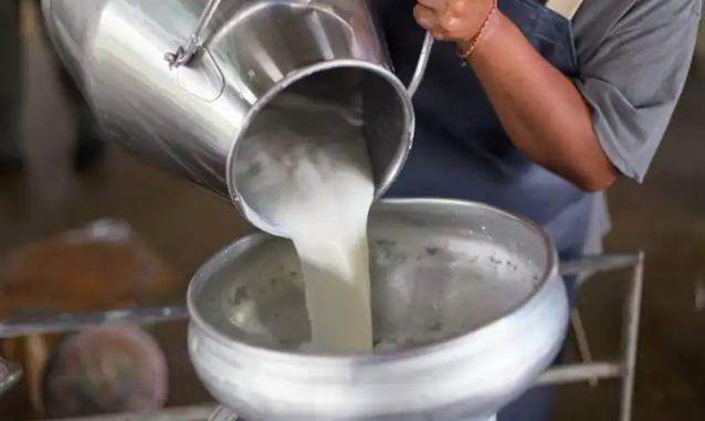 Segini Jumlah Kebutuhan Susu untuk Program Makan Bergizi Gratis Prabowo